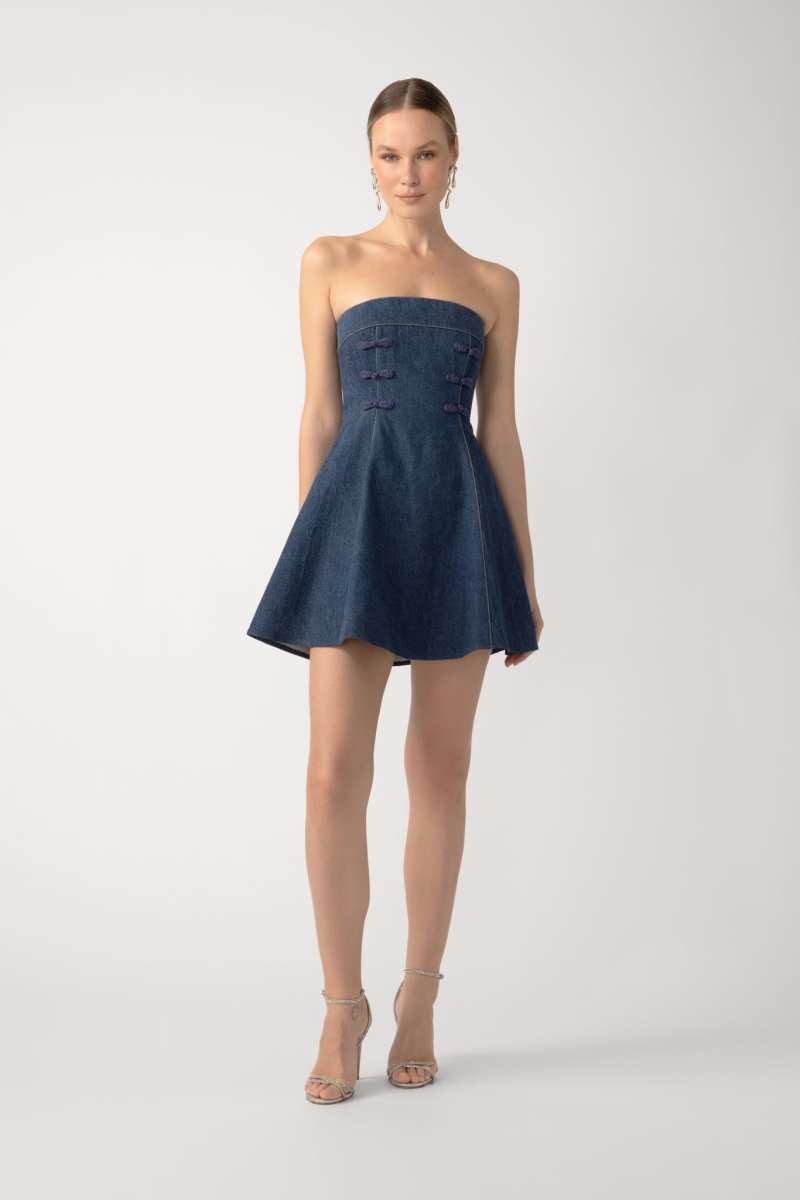 Tai Denim Mini Dress